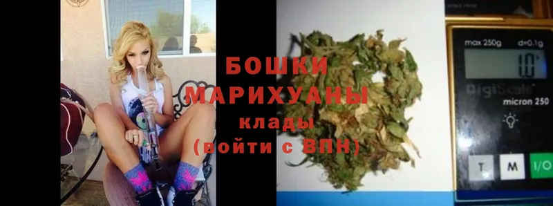 Бошки марихуана THC 21%  блэк спрут ONION  Йошкар-Ола  цены наркотик 